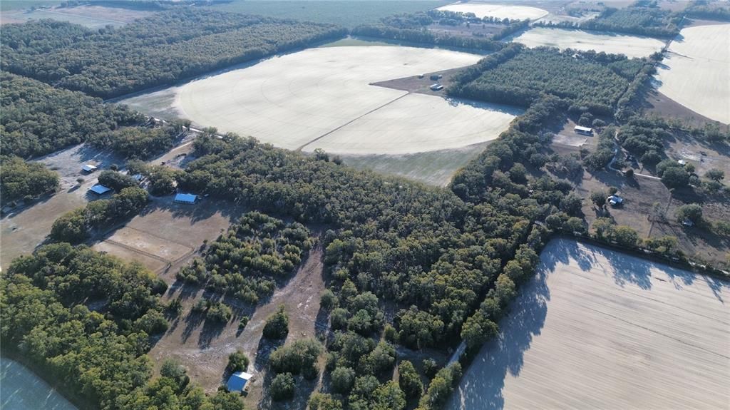 待售: $249,900 (16.34 acres)