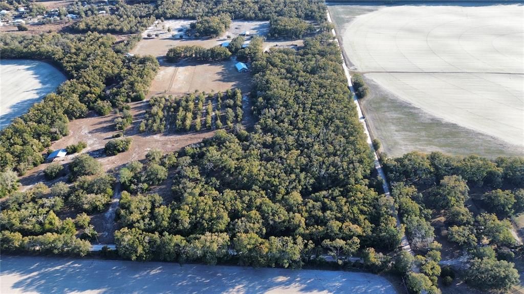 待售: $249,900 (16.34 acres)