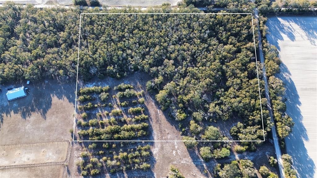 待售: $249,900 (16.34 acres)