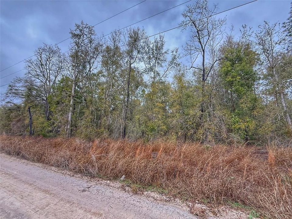 Vendido Recientemente: $24,000 (1.04 acres)