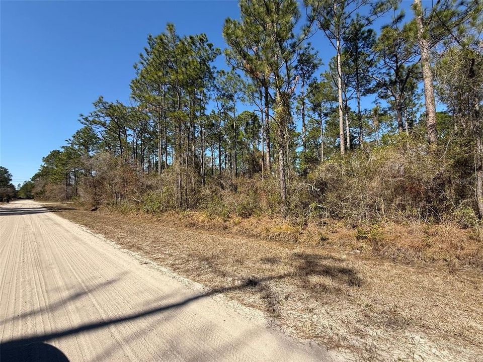 En Venta: $45,000 (1.14 acres)