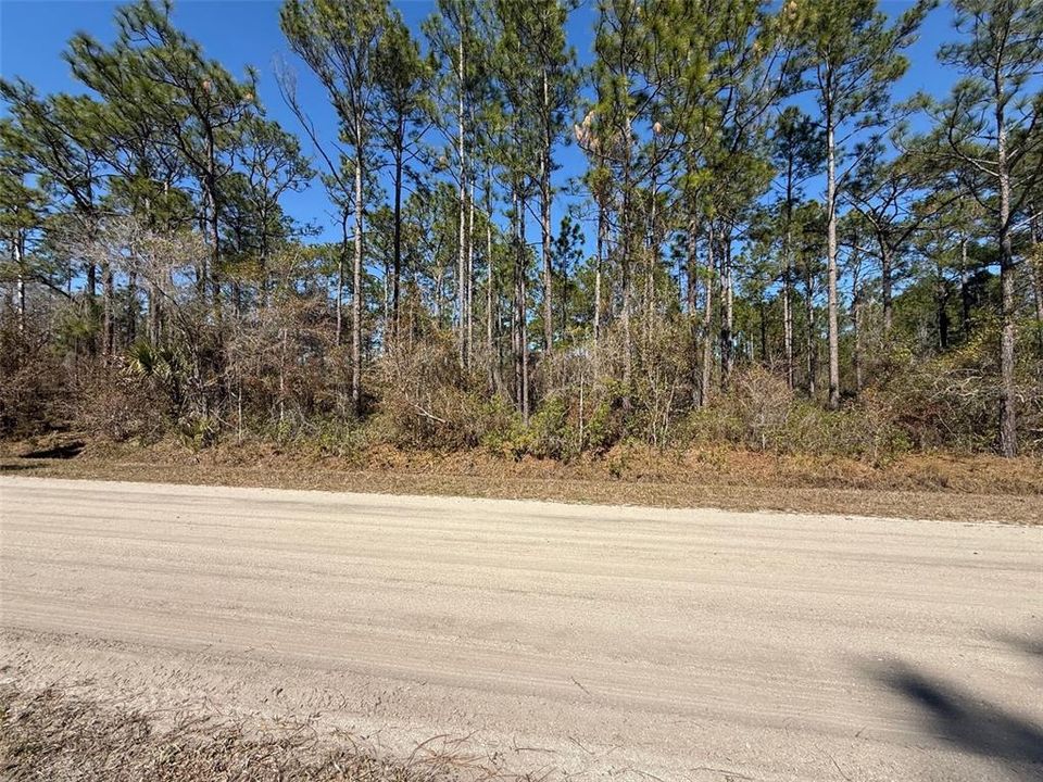 En Venta: $45,000 (1.14 acres)
