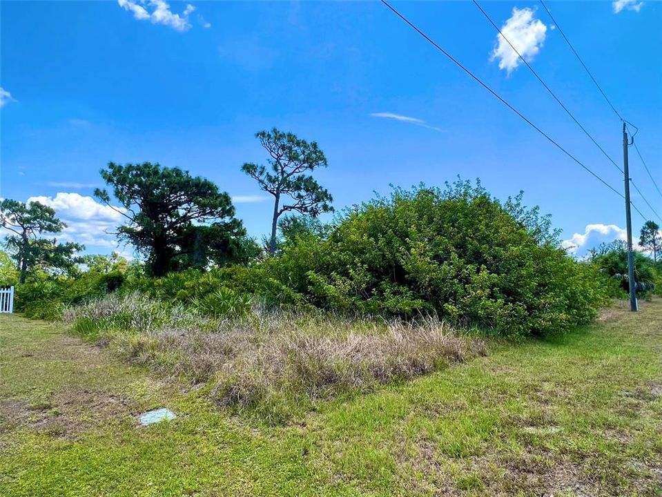 Active With Contract: $31,900 (0.23 acres)