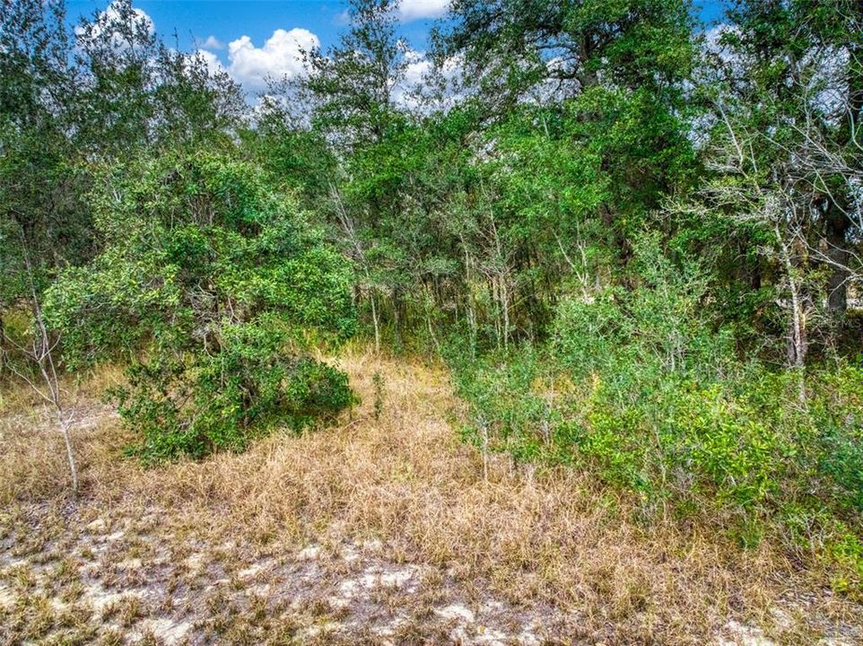 En Venta: $26,900 (0.47 acres)