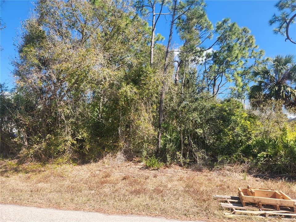 Vendido Recientemente: $10,950 (0.23 acres)