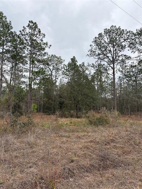 待售: $15,000 (0.24 acres)