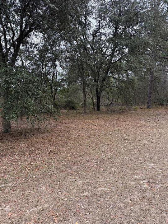 待售: $29,500 (0.23 acres)