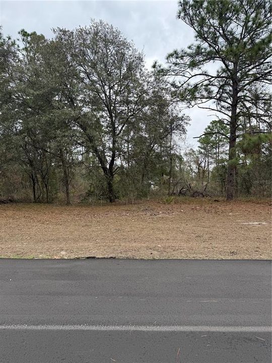 待售: $29,500 (0.23 acres)