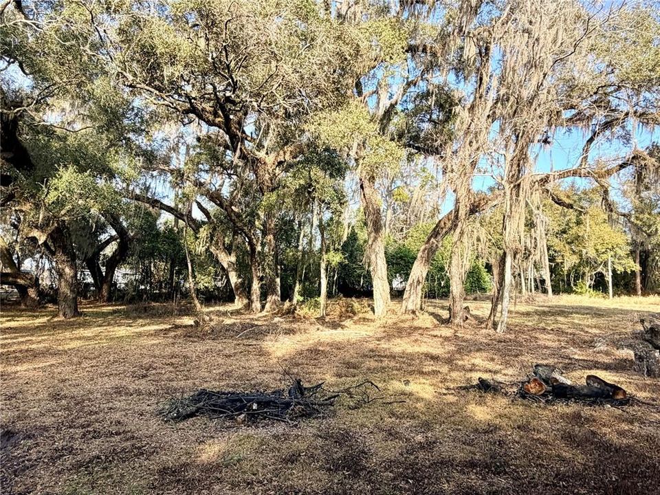 En Venta: $199,000 (3.19 acres)