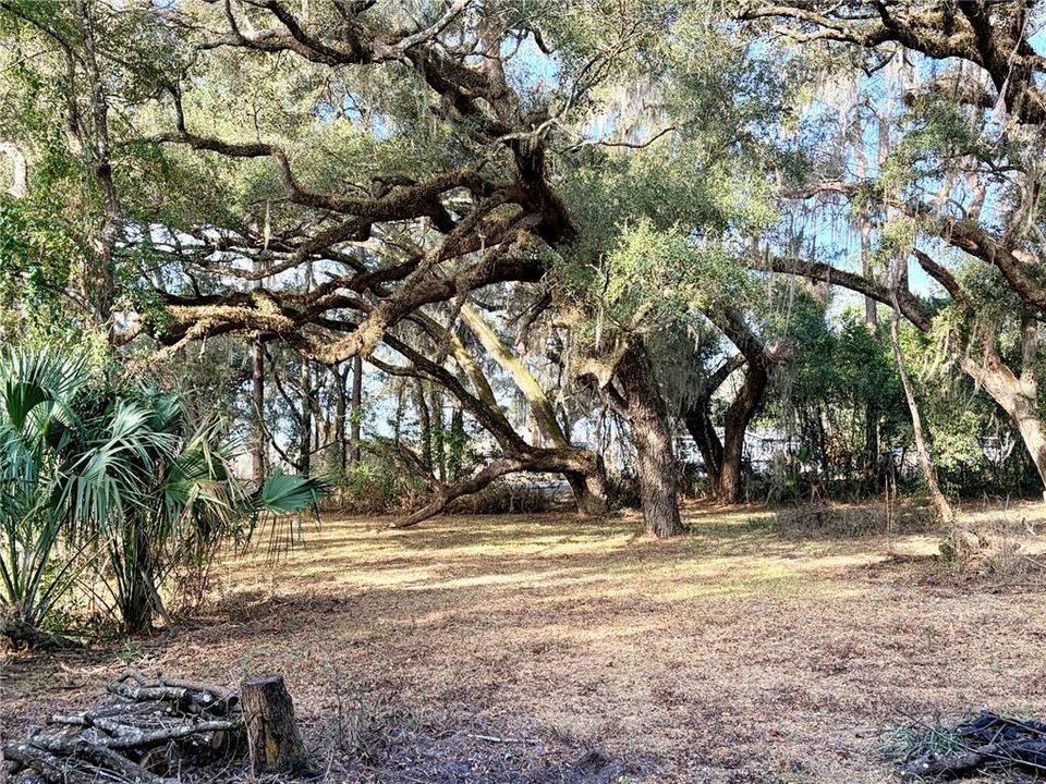 En Venta: $199,000 (3.19 acres)