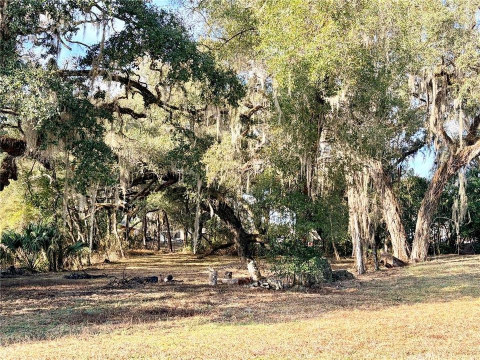En Venta: $199,000 (3.19 acres)