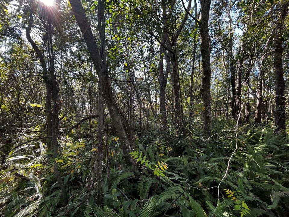 Под контрактом: $65,900 (0.23 acres)