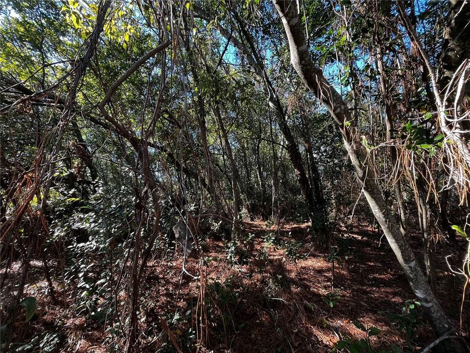 Под контрактом: $65,900 (0.23 acres)