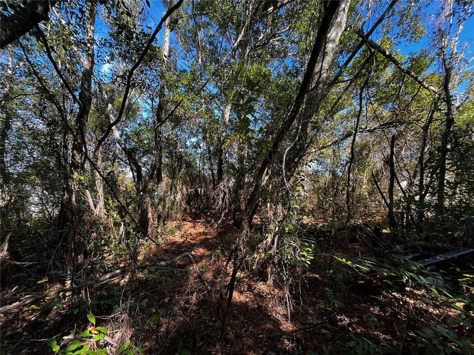 Под контрактом: $65,900 (0.23 acres)