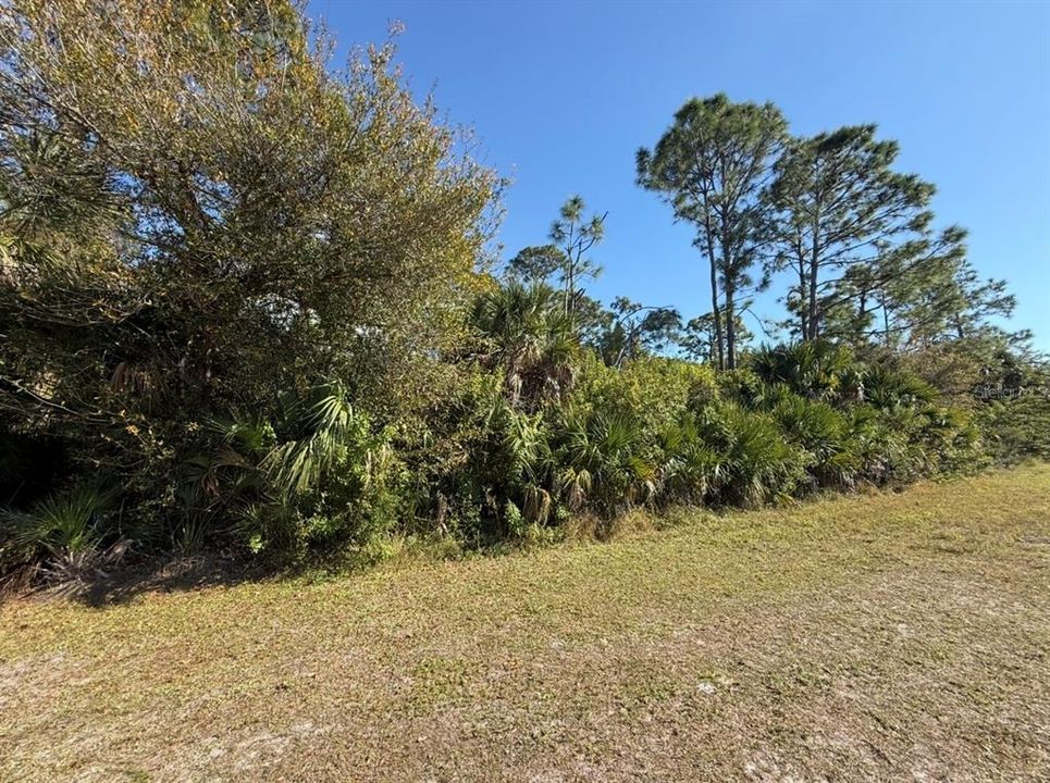 На продажу: $30,000 (0.23 acres)