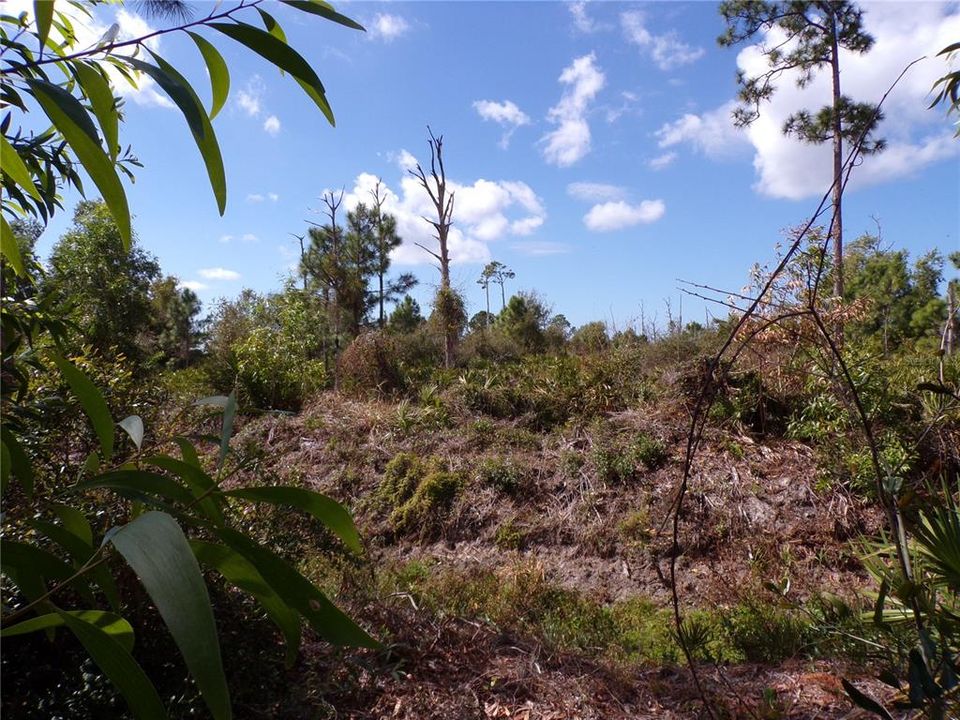 En Venta: $45,990 (0.47 acres)