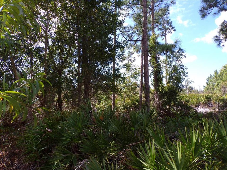 En Venta: $45,990 (0.47 acres)
