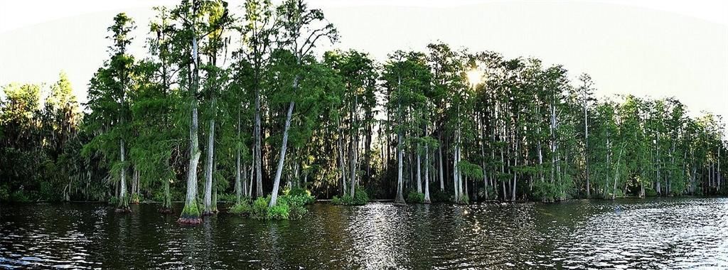 For Sale: $204,999 (3 beds, 1 baths, 986 Square Feet)