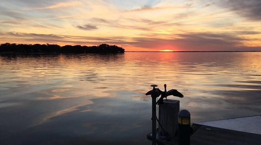 For Sale: $204,999 (3 beds, 1 baths, 986 Square Feet)