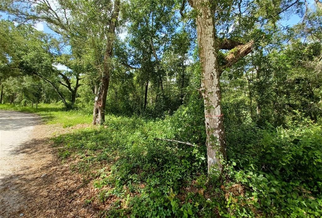 待售: $129,000 (2.54 acres)