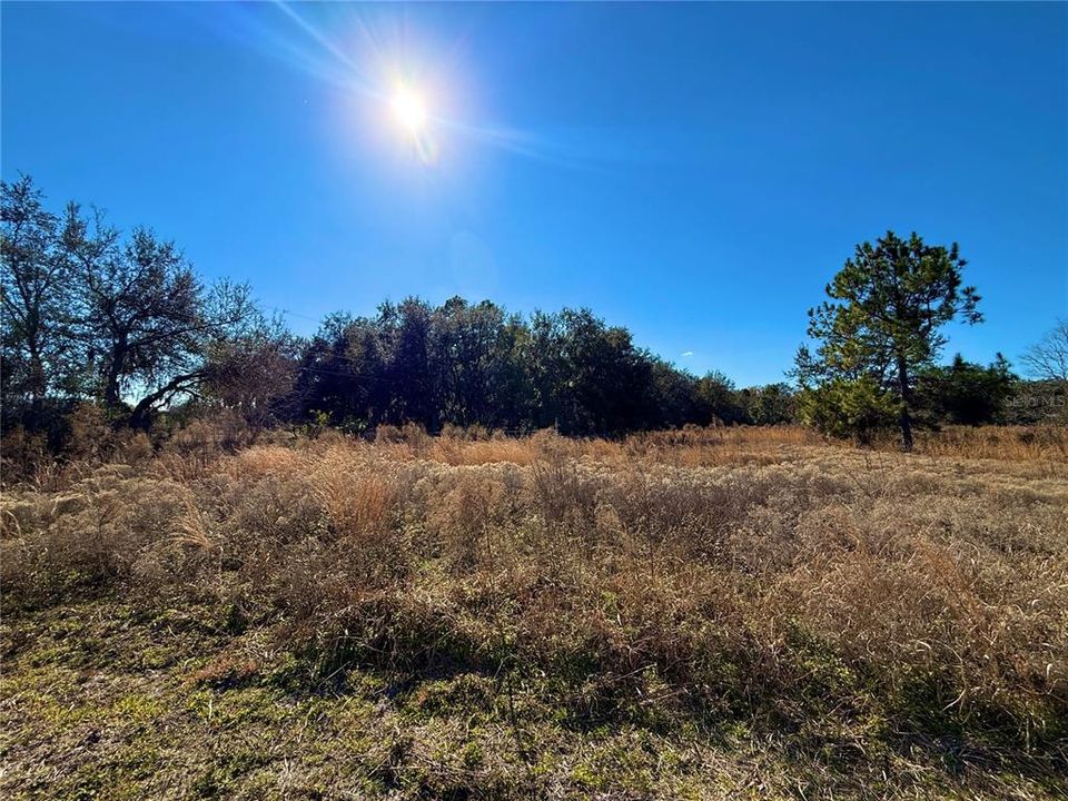 На продажу: $799,999 (5.75 acres)