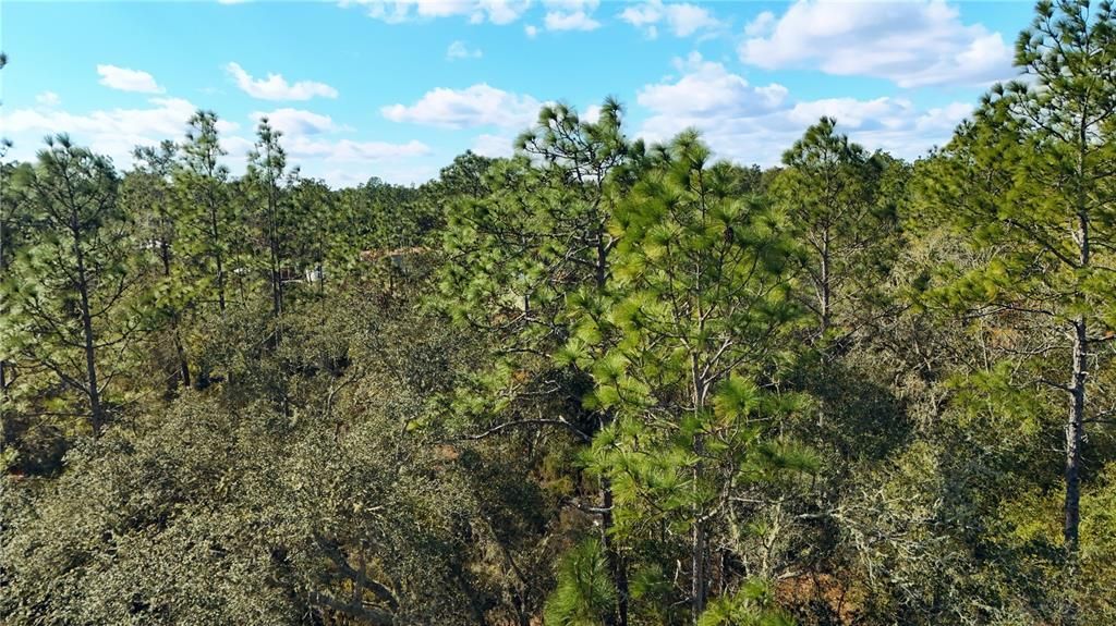 For Sale: $15,000 (0.66 acres)