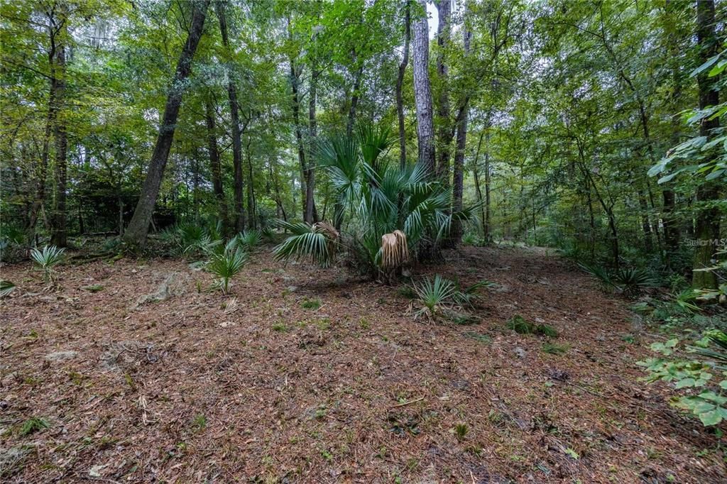 待售: $425,000 (1.98 acres)