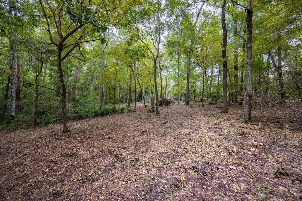 待售: $425,000 (1.98 acres)