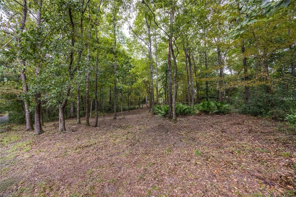 待售: $425,000 (1.98 acres)