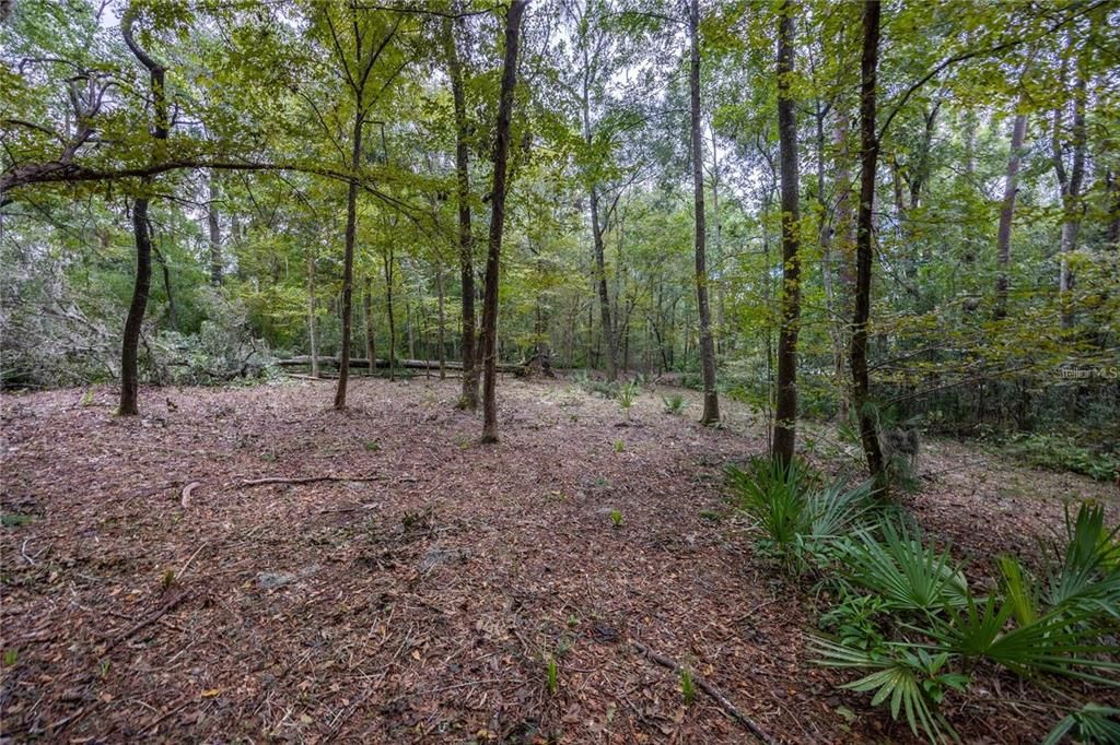 待售: $425,000 (1.98 acres)