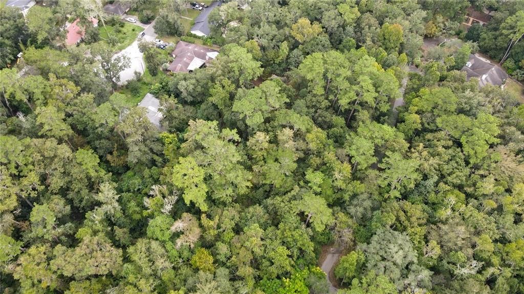 待售: $425,000 (1.98 acres)