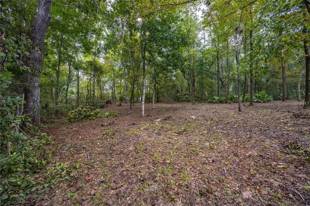 待售: $425,000 (1.98 acres)