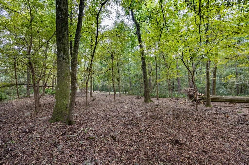 待售: $425,000 (1.98 acres)