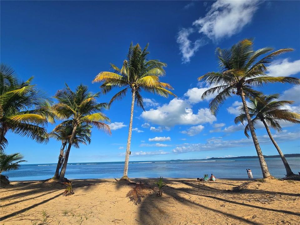 На продажу: $460,000 (2 спален, 2 ванн, 1110 Квадратных фут)