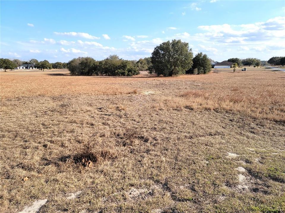 待售: $300,000 (5.25 acres)