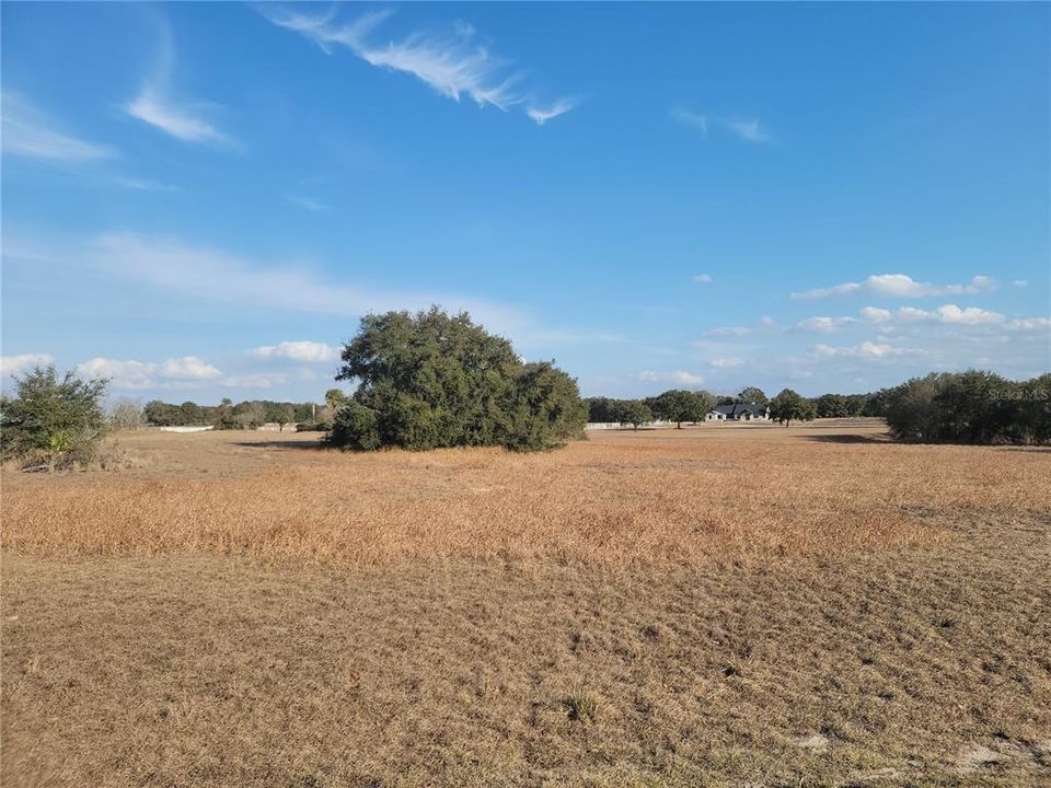待售: $300,000 (5.25 acres)