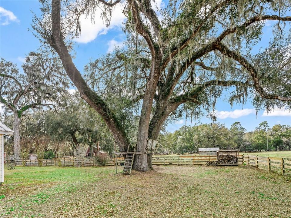 En Venta: $950,000 (3 camas, 2 baños, 1709 Pies cuadrados)