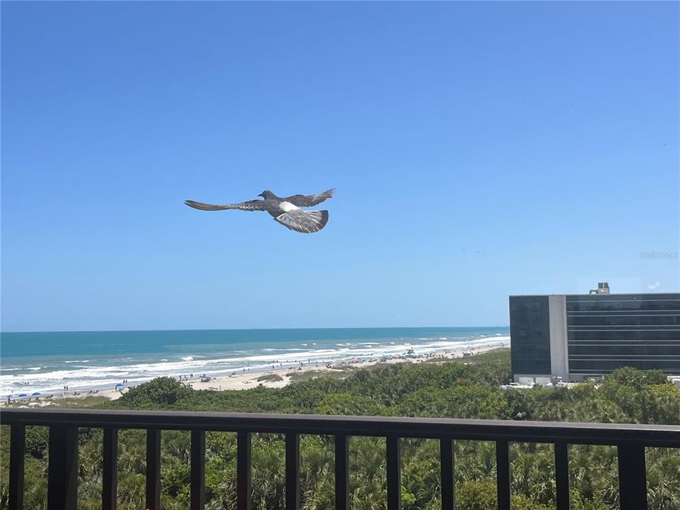 For Sale: $495,000 (2 beds, 2 baths, 1256 Square Feet)