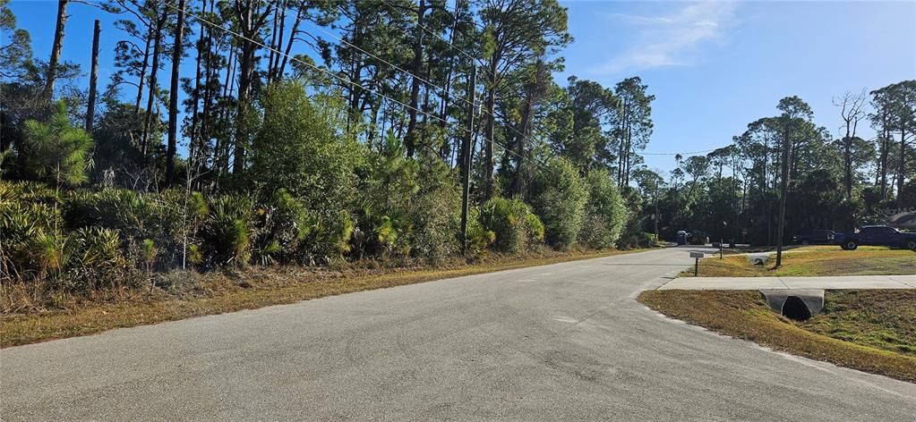 For Sale: $50,000 (0.46 acres)