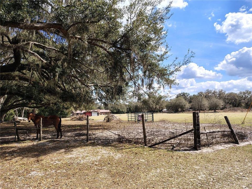 En Venta: $336,000 (3 camas, 2 baños, 1404 Pies cuadrados)
