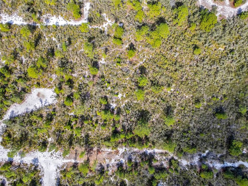 待售: $39,000 (1.25 acres)