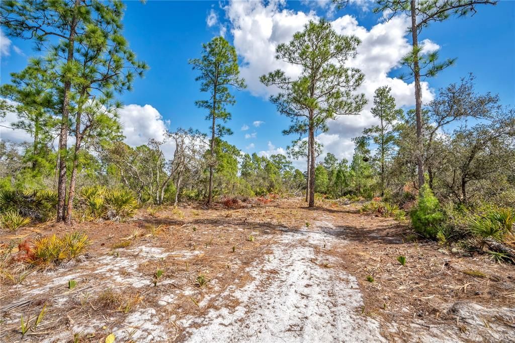 待售: $39,000 (1.25 acres)