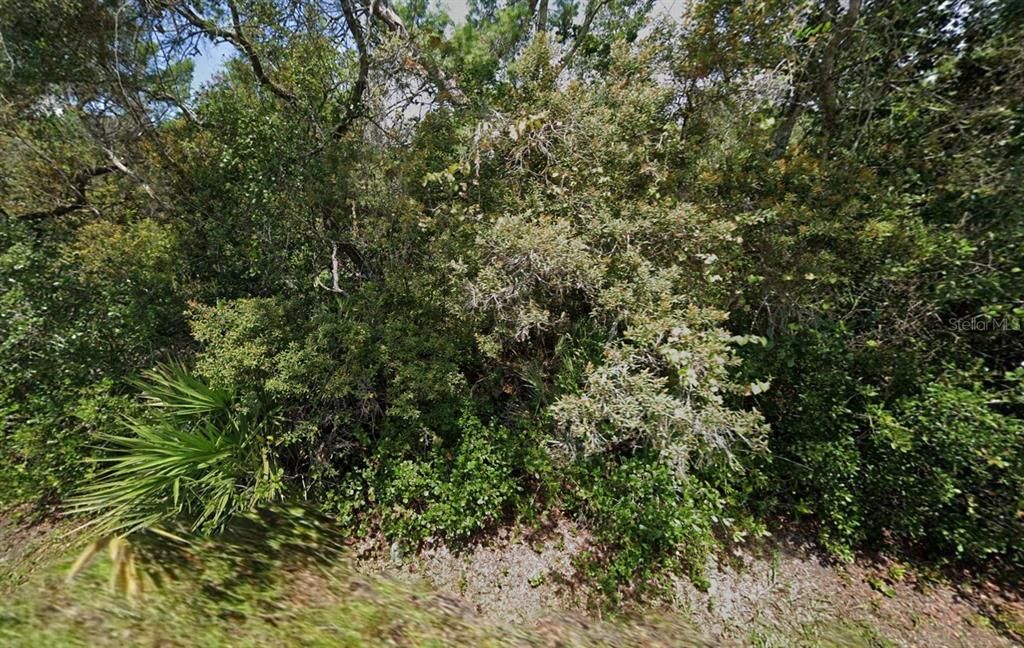 На продажу: $46,999 (0.24 acres)