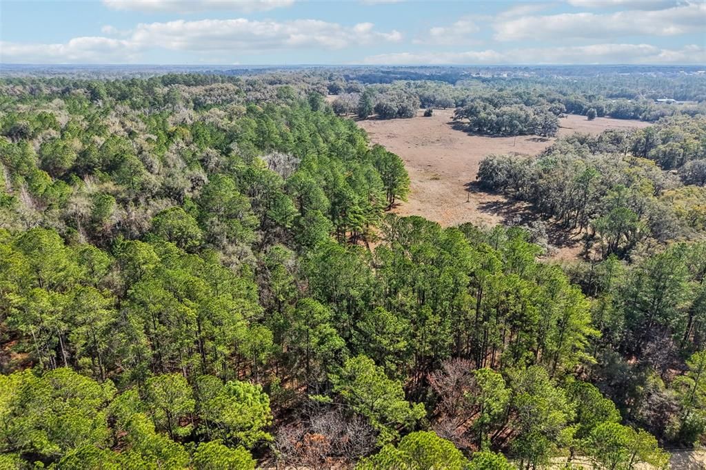 For Sale: $41,500 (0.47 acres)