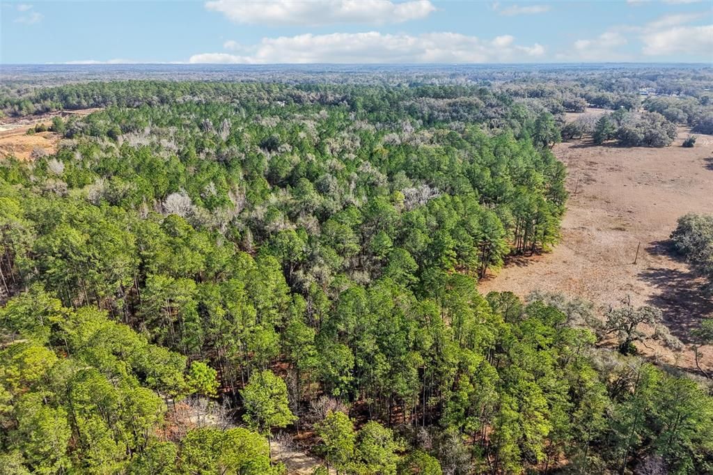 For Sale: $41,500 (0.47 acres)