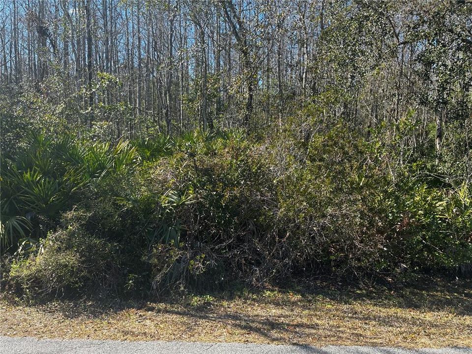 Vendido Recientemente: $35,000 (0.77 acres)