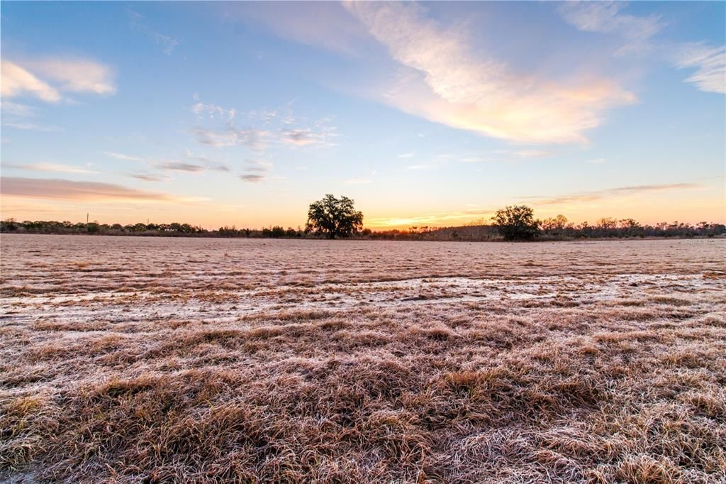 En Venta: $330,000 (3.00 acres)