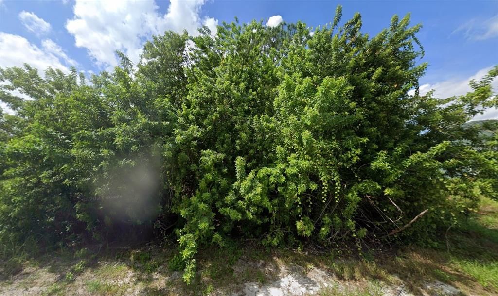 待售: $34,900 (0.46 acres)