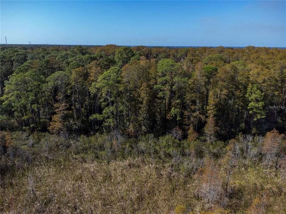 En Venta: $1,900,000 (35.60 acres)