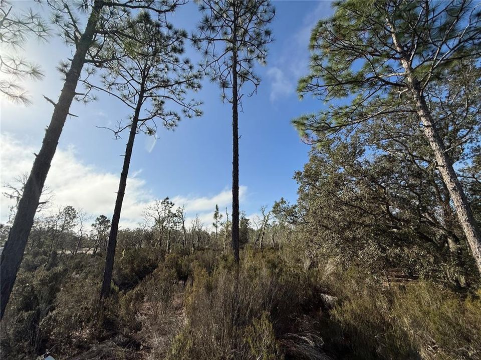 Active With Contract: $18,000 (1.25 acres)
